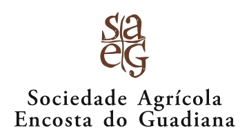 saeg logo